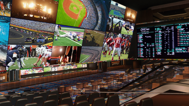 Casinos vs. Sportsbooks Where Should You Bet